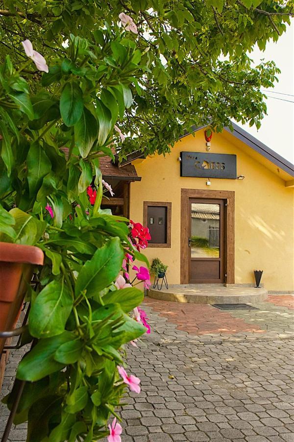 Vila Chess Belgrade Exterior photo