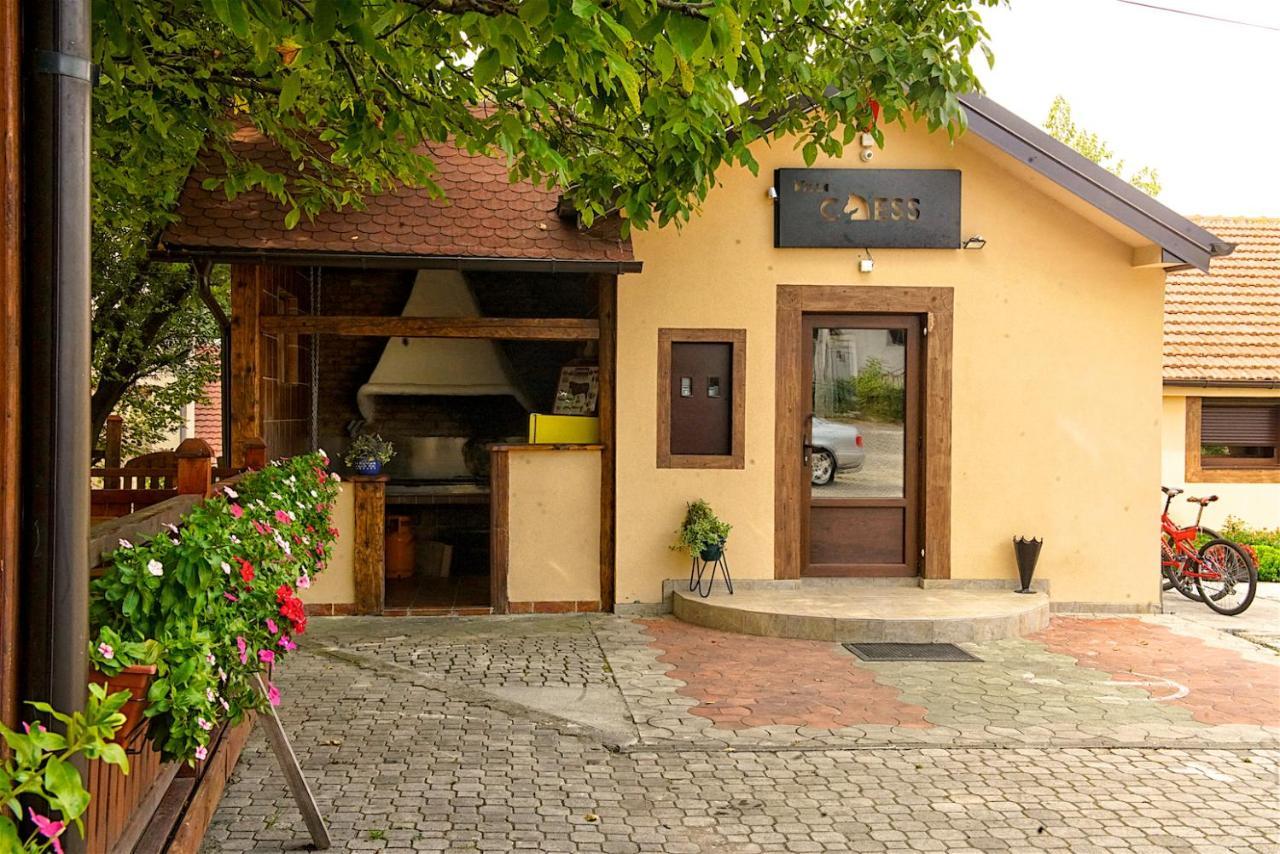 Vila Chess Belgrade Exterior photo
