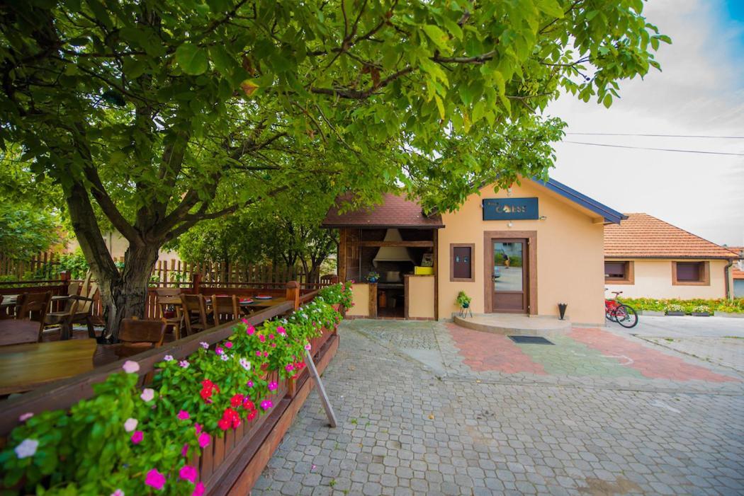 Vila Chess Belgrade Exterior photo